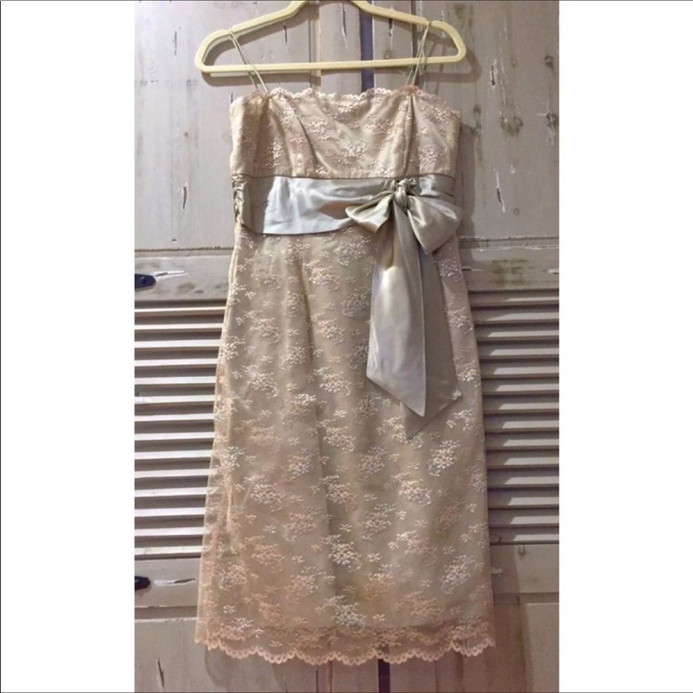 NIGHT WAY Silver Taupe Lace Cocktail Dress